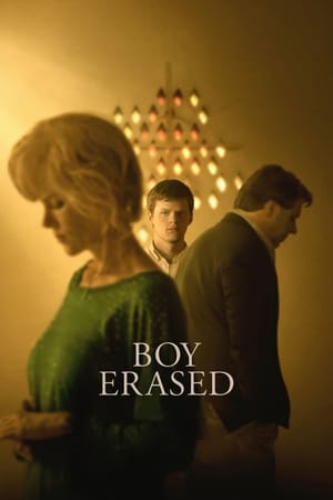 Boy Erased (2018) Hindi Dual Audio | Hindi Dubbed Movie BluRay 380MB