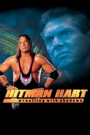 Hitman (1998) Hindi Dual Audio | Hindi Dubbed Movie UnCut HDRip 300MB