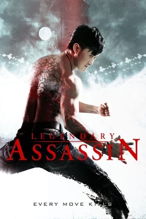 Legendary (2013) Hindi Dual Audio | Hindi Dubbed Movie BluRay 480MB