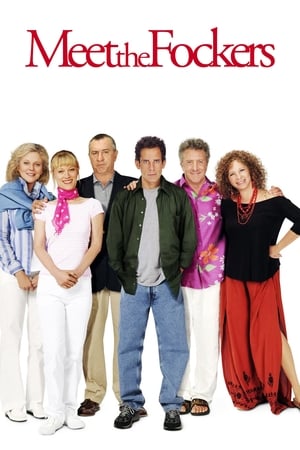 Meet the Fockers 2004 Hindi Dual Audio | Hindi Dubbed Movie BluRay 350MB
